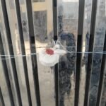 एमडीडीए की बड़ी कार्रवाई, सुरक्षा मानकों की अनदेखी पर ऋषिकेश में बहुमंजिला भवन को किया सील