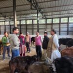 गौवंशों को सड़कों पर मरने के लिए छोड़ने वाले असामाजिक लोगों का बहिष्कार जरूरीः अंथवाल  