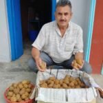 देश सेवा के बाद कीवी मैन बने मान सिंह, 4 पौधों से शुरू किया सफर